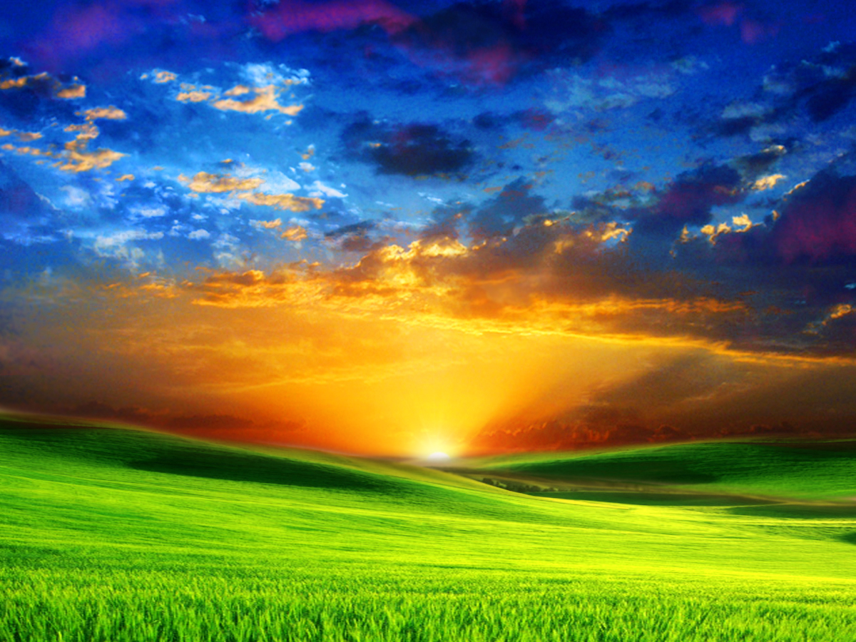 In_Gods_Country
